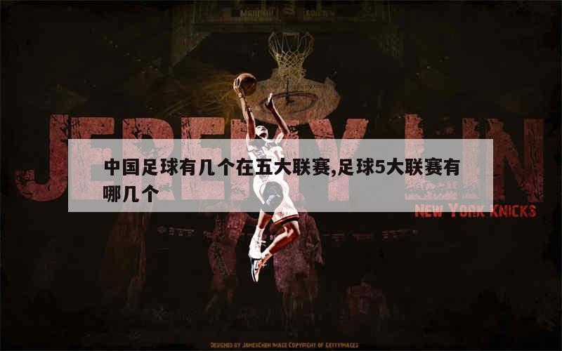 中国资本入主五大联赛球队名单_五大联赛有哪些_五大联赛是那五大