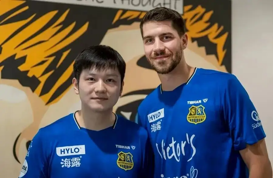 樊振东德国比赛详情_樊振东德甲失利_樊振东2比3鲁伊斯