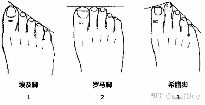 足球现场直播