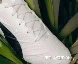 足总杯直播
